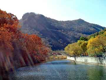 苏州高扬国际最新进展揭秘，背景、事件与深远影响概览
