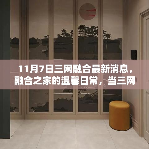 案例 第547页