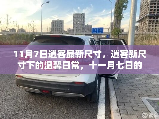 条款 第561页