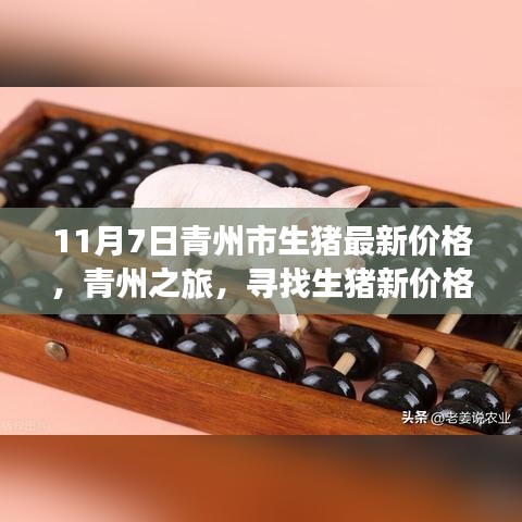 条款 第559页