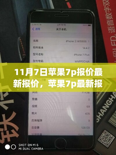 条款 第558页