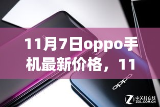 案例 第543页