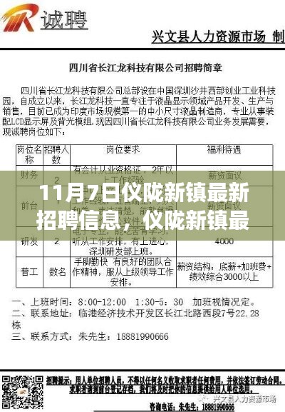 案例 第542页