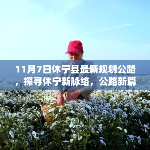 新闻 第546页