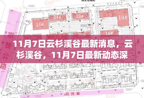 条款 第555页
