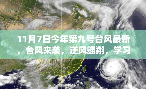 容光焕发 第45页
