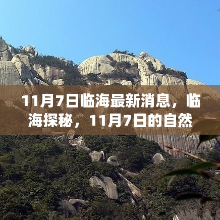 没精打采 第44页