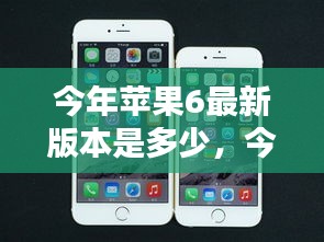 商品分类 第538页