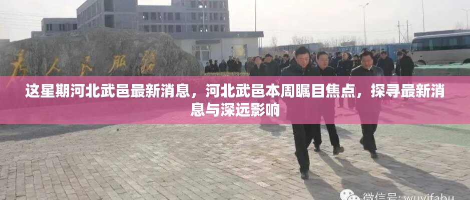 走马观花 第42页