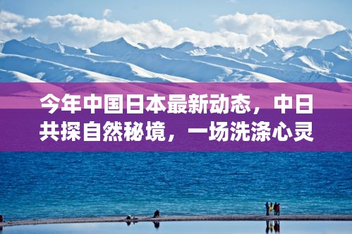 对答如流 第39页