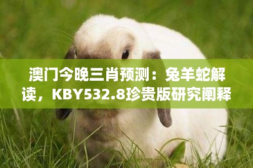 sideiqisuo 第16页