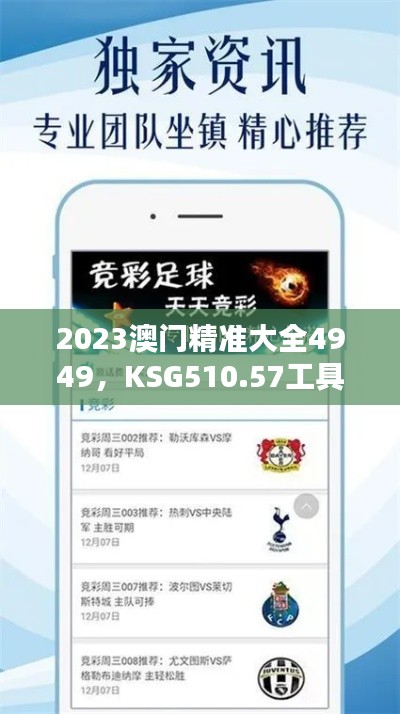 jieshenzihao 第17页