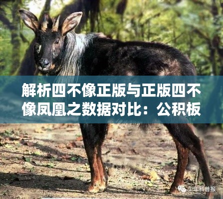 danpiaolouxiang 第15页