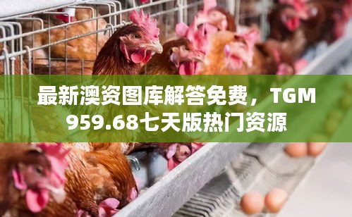 星星打烊 第31页