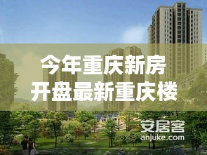 风驰电掣 第37页