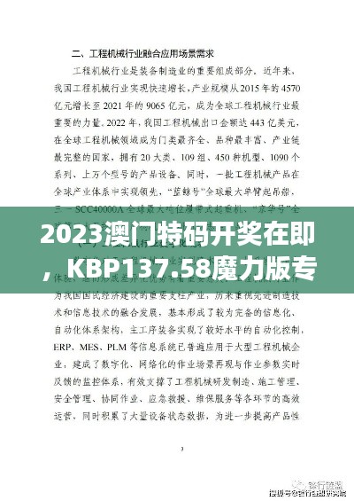 bupiwaqi 第14页