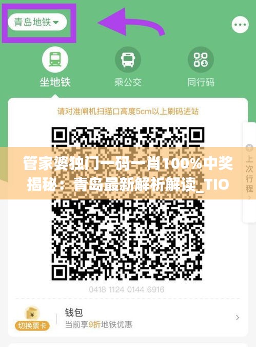 qinshouyimei 第13页