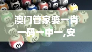 目不转睛 第31页
