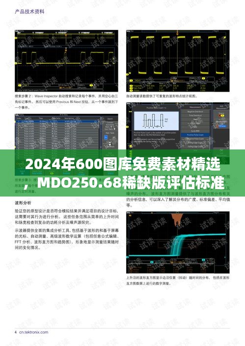 虎视眈眈 第30页