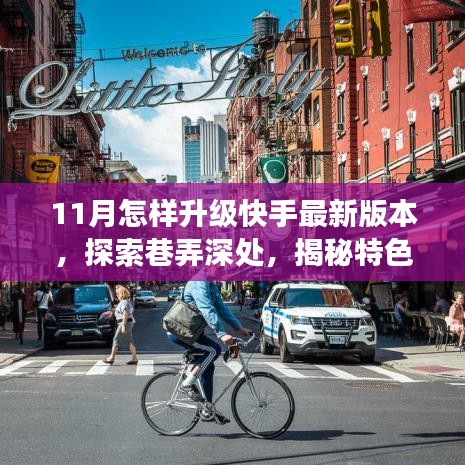条款 第264页