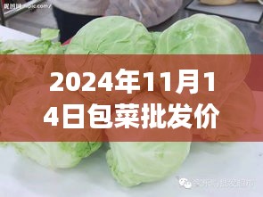 评价 第265页