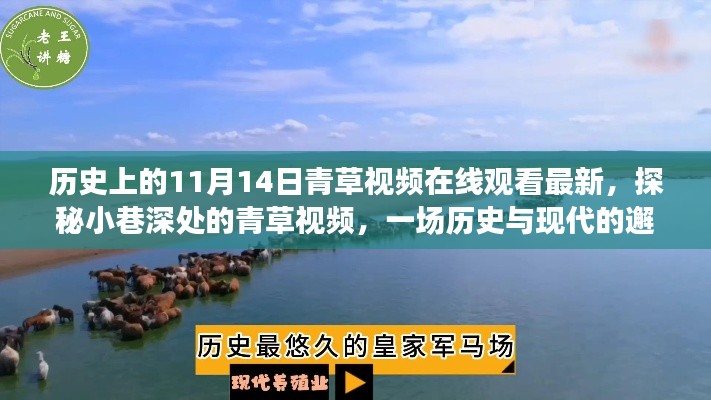 条款 第253页