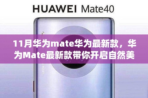 文质彬彬 第22页