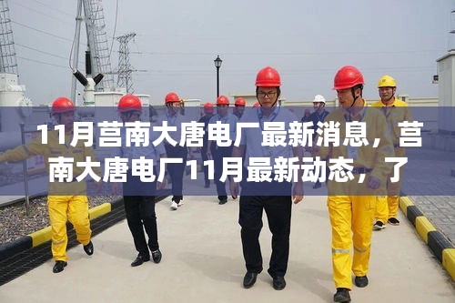 条款 第248页