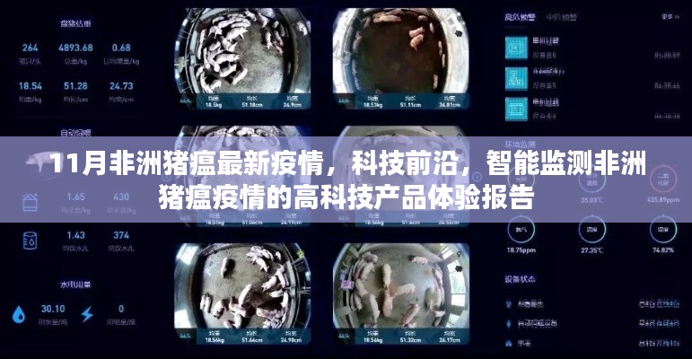 花开无言 第20页
