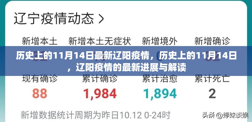 条款 第244页