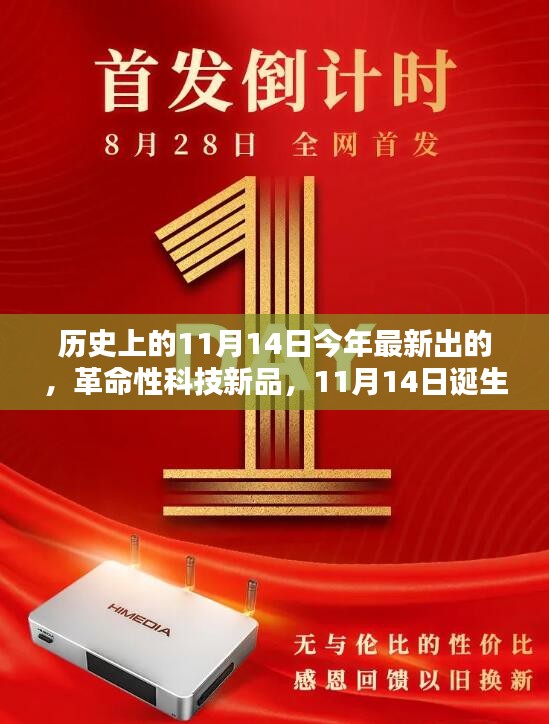 条款 第243页
