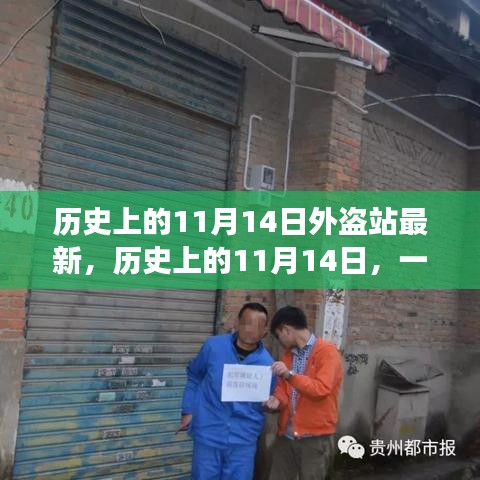 条款 第241页