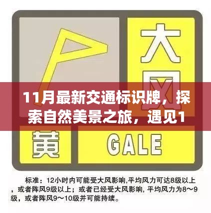 条款 第238页