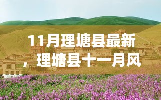 条款 第236页