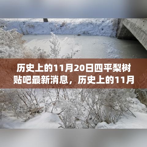 案例 第226页