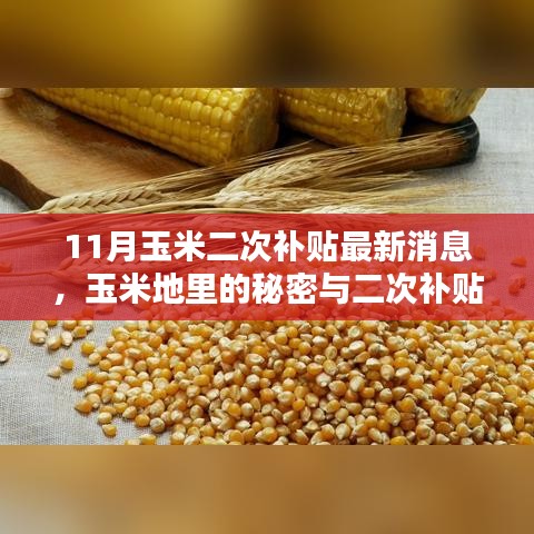 条款 第231页