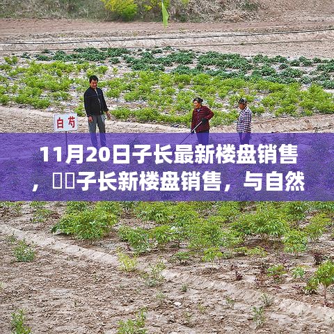 云烟 第20页