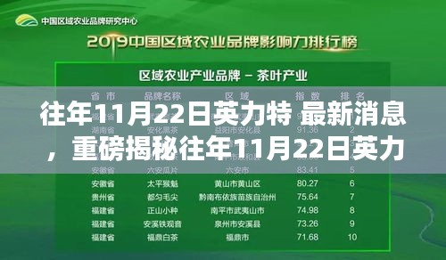 条款 第225页