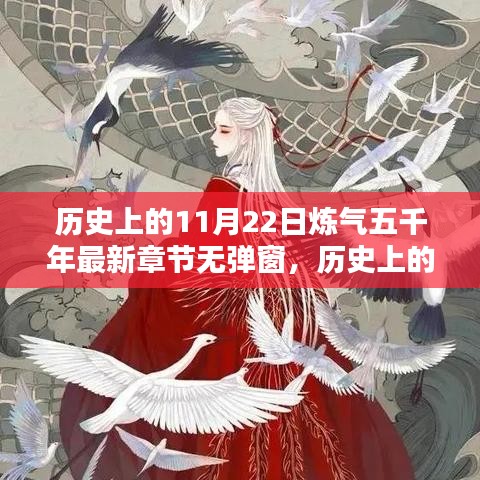 条款 第224页