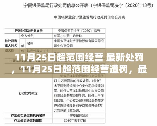条款 第217页