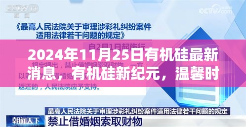条款 第214页