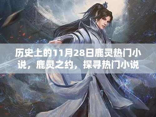 评价 第216页