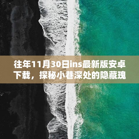花开无言 第13页