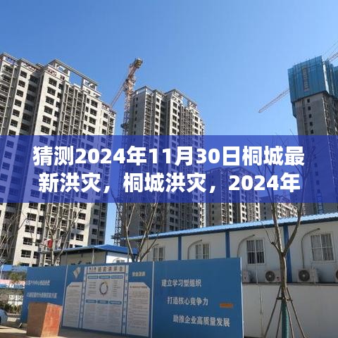 评价 第213页