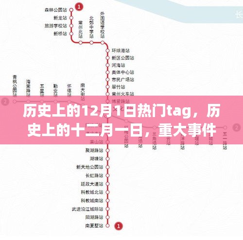 案例 第187页