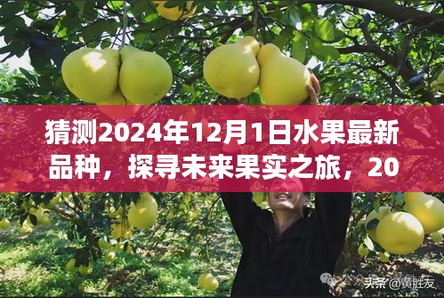 江南烟雨断桥殇 第13页