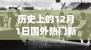 神采奕奕 第12页