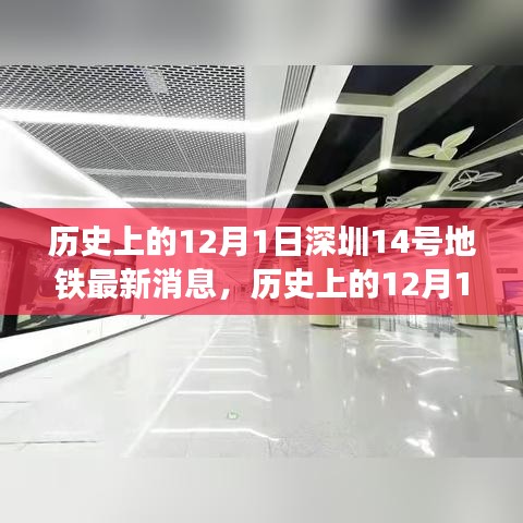 九死一生 第13页