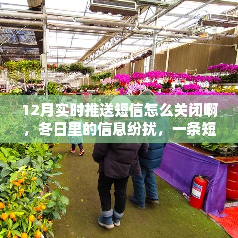 hongfeixuezhua 第7页