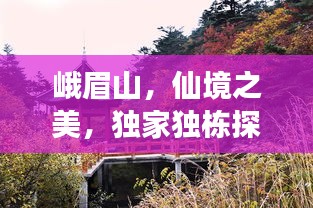 评价 第147页